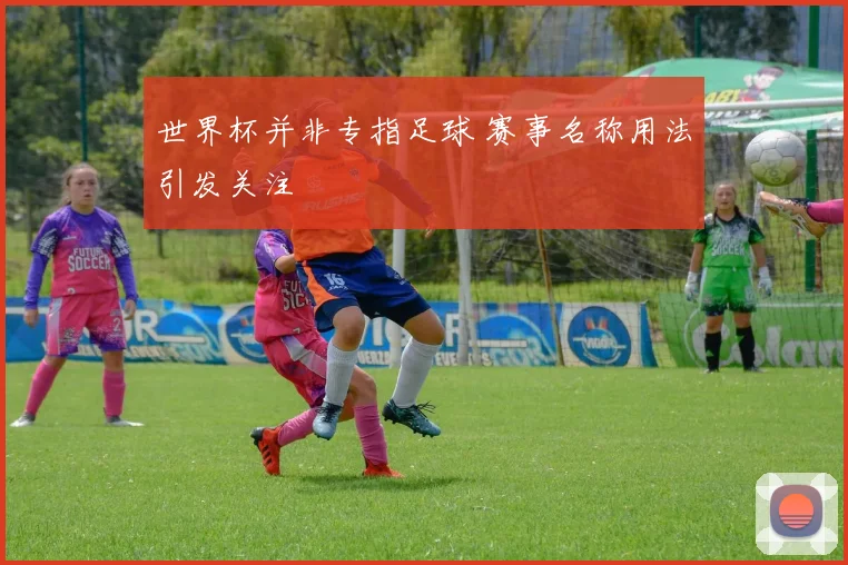 世界杯并非专指足球 赛事名称用法引发关注
