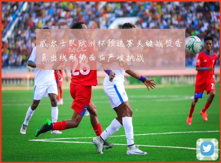 威尔士队欧洲杯预选赛关键战役告负出线形势面临严峻挑战