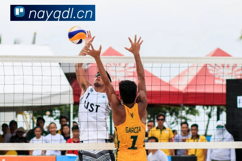 emc体育官网登录发展历程